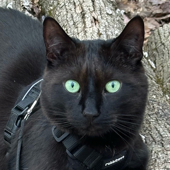 Meet your Posher, Heidi - Picture 1 of 2